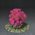 Ringo Violet Geranium Seeds – 15 Premium Flower Seeds | Early Blooming Violet Geranium | Patio & Window Box Friendly | Easy to Grow