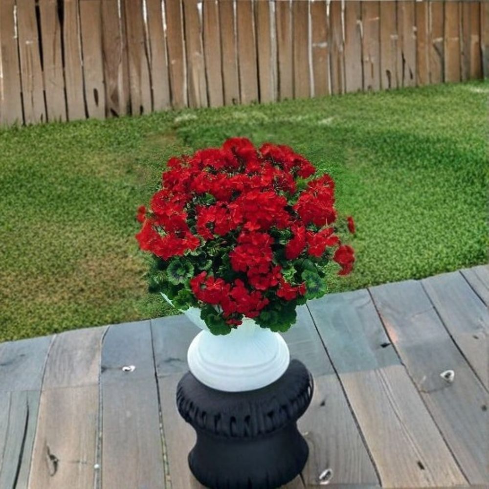 Breakaway Red Geranium Seeds – 100 Pelargonium Seeds | Scarlet Red Heat-Tolerant Garden Flowers