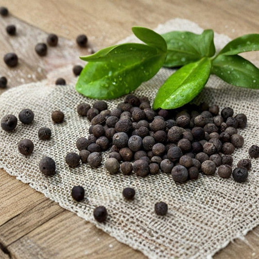 Live Allspice Plant – Pimenta dioica | 10–14 Inch Starter Plant | Quart Nursery Pot | Hardy Aromatic Herb Tree | Patio & Garden Friendly