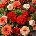 Red Geranium Seeds – 10 Premium Flower Seeds | Classic Red Garden Blooms | Patio & Hanging Basket Friendly | Easy to Grow