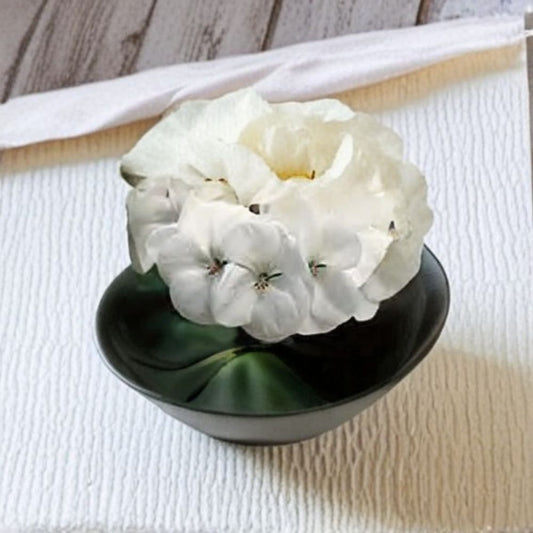 Geranium Pinto Premium White – Pelargonium Seeds | 1,000 Seeds | Snow White Blooms | Vigorous Garden Variety | Pot & Landscape Friendly | Easy to Grow
