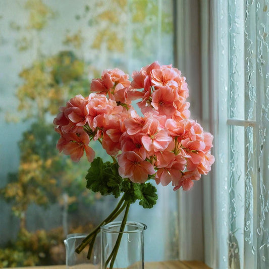 Maverick Salmon Geranium Seeds – Pelargonium hortorum F1 Hybrid | 10 Seeds Included | Salmon Colored Blooms | Patio & Container Friendly | Easy to Grow