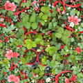 Wild Alaska Strawberry Pups – 5 Live Strawberry Plants | Super Hardy Bare Root Starts | Cold Climate Fruit Plants | Easy to Grow Groundcover