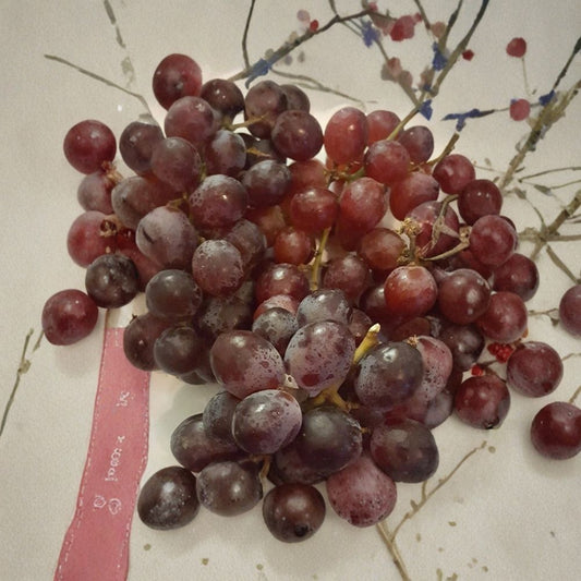 Red Globe Grape Vine – Vitis vinifera Live Plant | 1 Gallon Size | Self-Fertile Fruit Vine | Includes Root-Wrapped Plant | Home Garden Friendly | Easy to Grow
