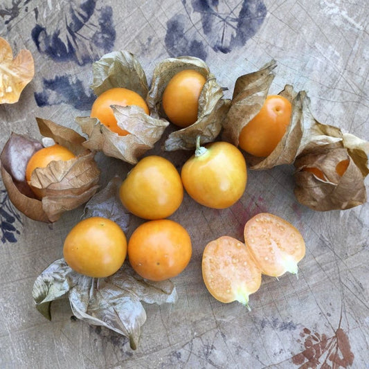 Peruvian Ground Cherry Seeds – Physalis peruviana Organic Seeds | 50 Non-GMO Seeds | Cape Gooseberry Goldenberry | Ambrosia Variety
