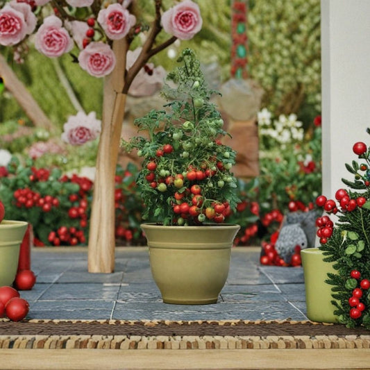 Tomato Geranium Kiss – Cherry Grape Tomato Seeds | 100 Seeds | Golf Ball Size Fruits | Early Blight Resistant | Compact Productive Variety | Easy to Grow