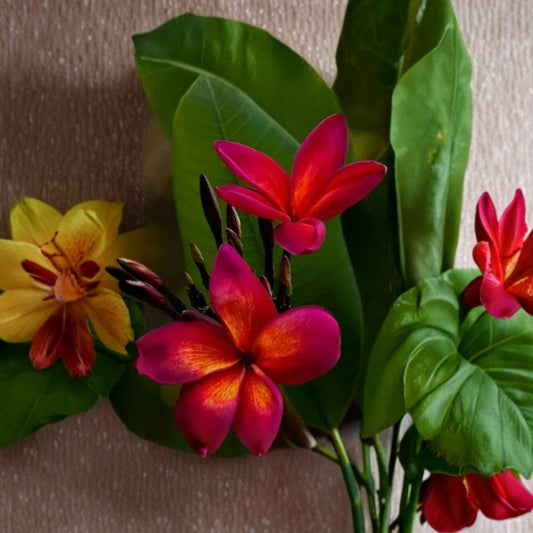 Red Root Plumeria – Live Rooted Plant | 3 Inch Pot | Tropical Flowering Plant | Fragrant Frangipani | Patio & Garden