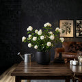 Grand Duke of Tuscany Jasmine – Jasminum sambac Live Plant | 8–15 Inches Tall | Double Flower Arabian Jasmine | Highly Fragrant Indoor & Patio Plant