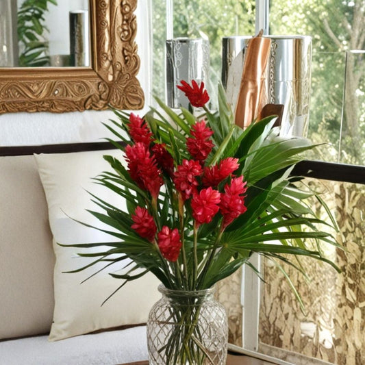 Hawaiian Red Ginger – Alpinia purpurata Live Starter Plant | 6–10 Inches Tall | Rooted in 2.5-Inch Pot | Tropical Fragrant Plant