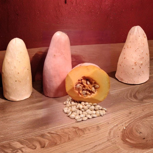 North Georgia Candy Roaster Squash Seeds – Cucurbita maxima Heirloom Seeds | 10 Organic Non-GMO Seeds | Cherokee Heritage Winter Squash | Sweet Creamy Flesh