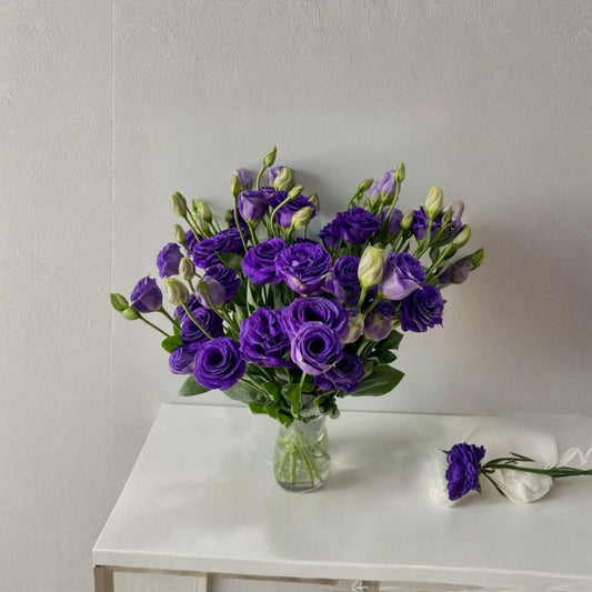 Lisianthus Doublini Blue I Live Plant Plug – 1–3 Inches | Blue Flowering Lisianthus | Elegant Rose-Like Blooms | Garden & Container Flower | Cut Flower Plant