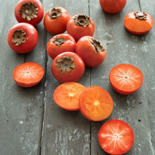 American Common Persimmon – Diospyros virginiana Live Rooted Starter Tree | Native Fruit Tree | Ships in Pot