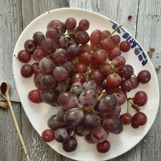 Red Globe Grape Vine – Live Fruit Plant | 3 Gallon Size | Self-Fertile Grape Vine | Home Garden Favorite | Easy to Grow