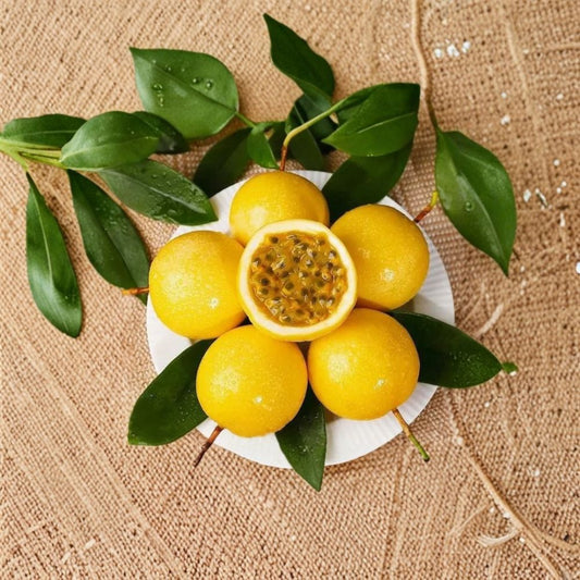Yellow Passion Fruit – Set of 2 Live Plants | 4–6 Inches Tall | Rooted Starter Vines | No Pot | Sweet Sunrise | Fruit-Producing Vine | Zones 9–11