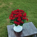Breakaway Red Zonal Geranium Seeds – 5 Annual Flower Seeds | Heat Tolerant Cascading Geranium | Hanging Basket & Patio Friendly