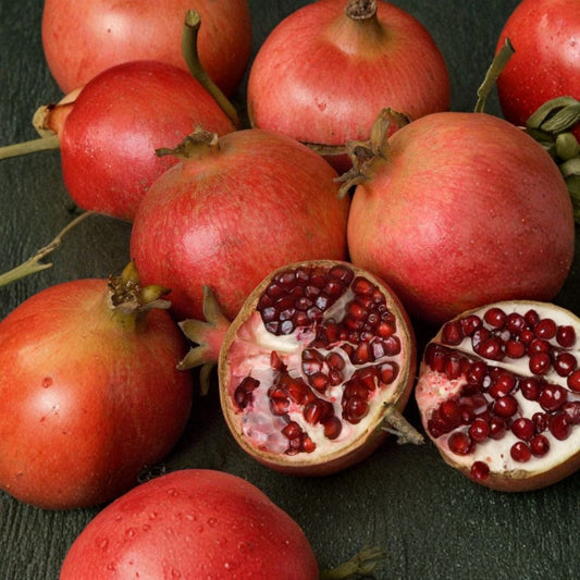 Wonderful Pomegranate Tree – Punica granatum Live Plant | 3 Ft Potted Fruit Tree | Sweet Tangy Red Fruit | Self-Fertile