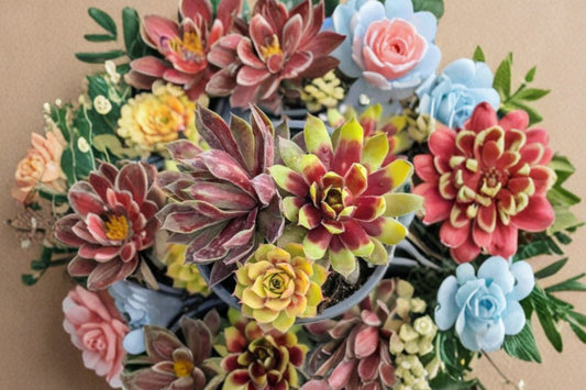 Sempervivum Hens & Chicks – Grower’s Choice Live Plant | 2 Inch Pot | Cold Hardy Succulent | Outdoor Rosette Plant | Zones 3–9