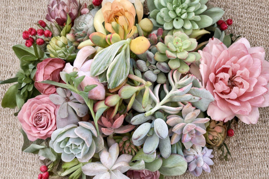 12 Different Succulent Cuttings – Live Unrooted Plants | 2–5 Inch Assorted Succulents | Random Variety Mix | Propagation Starter Set