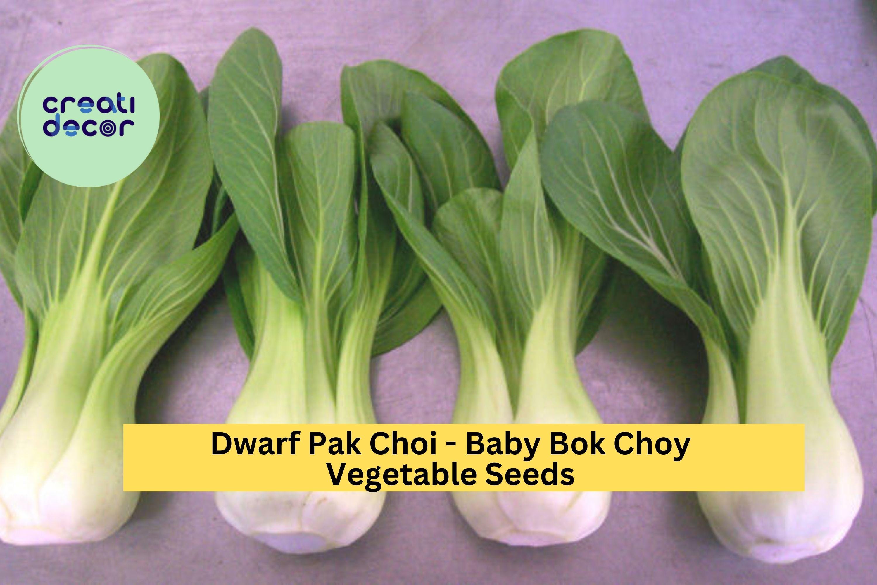3pcs of 500mg Baby Bok Choy Seeds – Dwarf Pak Choi Variety for Tender Greens, Container Gardening & Asian Dishes Seeds for Planting