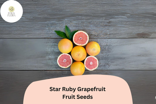 5+ Star Ruby Grapefruit Seeds – Juicy, Deep Red, Sweet-Tart Citrus Tree