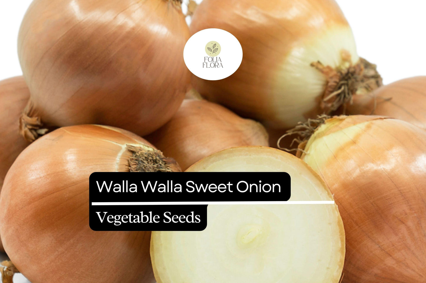 200 Walla Walla Sweet Onion Seeds – Allium cepa – Heirloom, Extra-Sweet, Mild & Juicy, Perfect for Salads