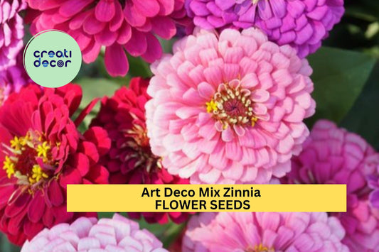 100+ Art Deco Mix Zinnia Seeds – Bold & Vintage-Inspired Blooms for Garden Planting, Colorful Annuals for Borders , Bouquets – USA