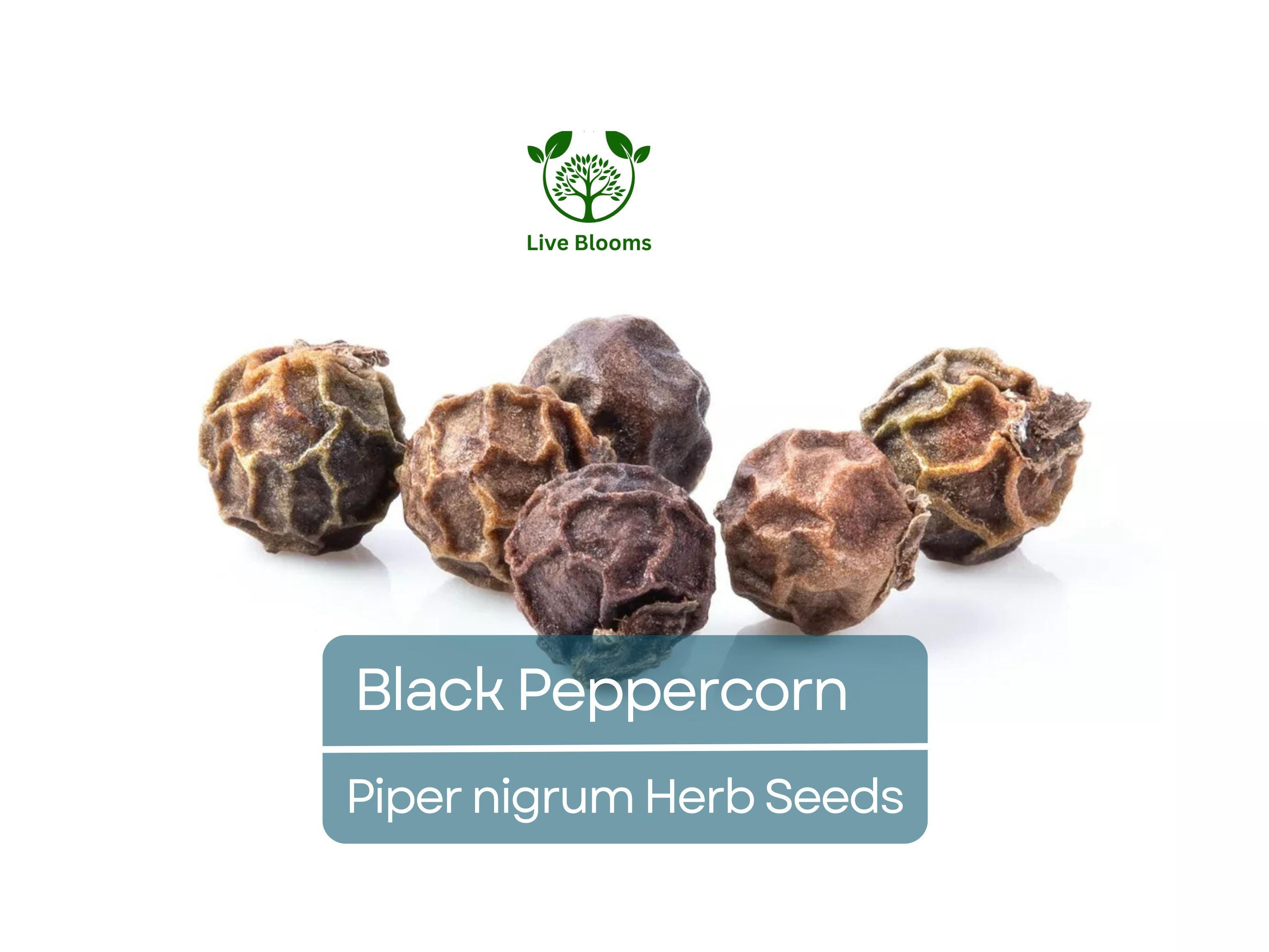 20 Black Peppercorn Seeds (Piper nigrum), Vine, Spice Plant, Fresh Peppercorns, Indoor Garden, Cooking Spice, Aromatic Herb, Garden Starter