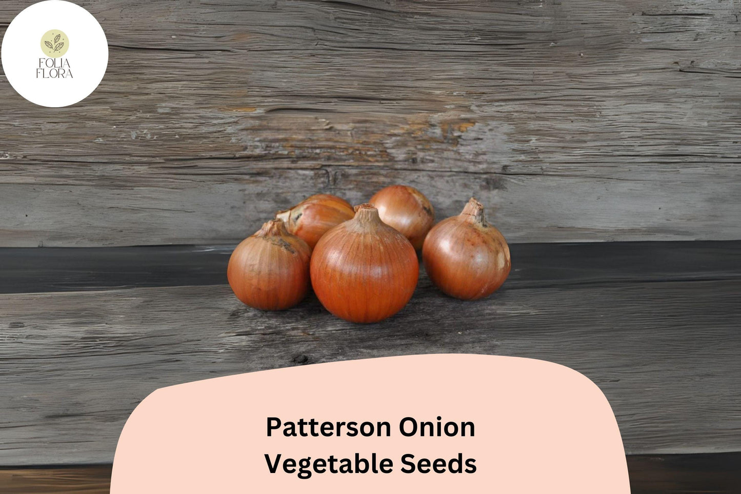 500+ Patterson Onion Seeds | Long-Day Storage Onion | Golden Yellow Heirloom | Garden Planting | Allium cepa Seeds