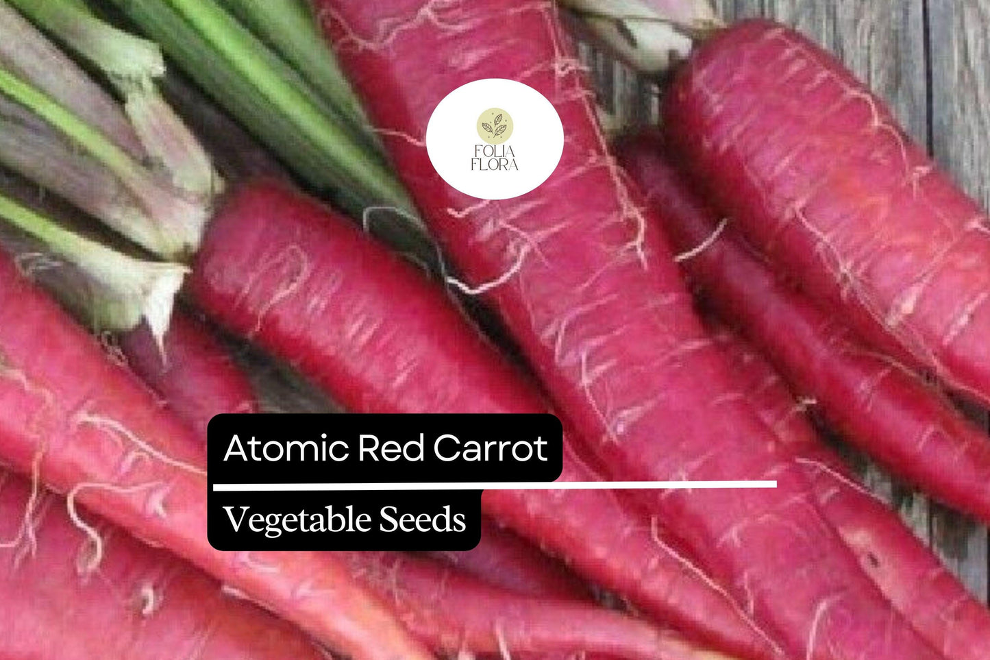 150 Seeds Atomic Red Carrot (Daucus carota) – Vibrant, Nutrient-Rich Red Carrot Variety