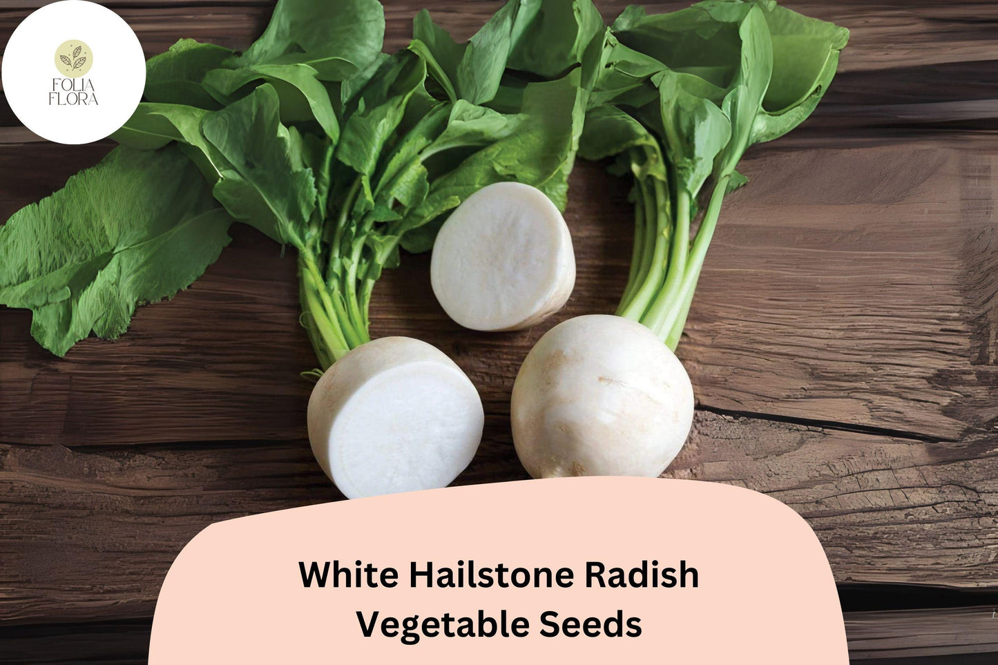 500+ White Hailstone Radish Seeds – Heirloom Round White Radish for Garden Planting