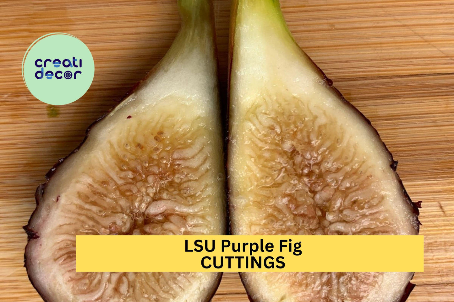 5 LSU Purple Fig Scion Cuttings – Unrooted Hardwood Cuttings for Grafting or Propagation, Sweet Fruit Variety – USA