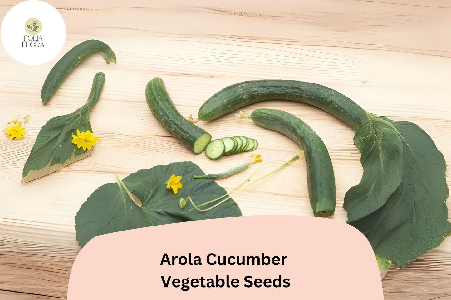 25+ Arola Cucumber Seeds | Early Hybrid High Yield | Crisp Non-GMO Garden Vegetable Planting