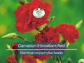25 Seeds Carnation Etincellant Red - Fragrant Non-GMO Pollinator-Friendly Cut Flowers, Perfect for Gardens Bouquets (Dianthus caryophyllus)