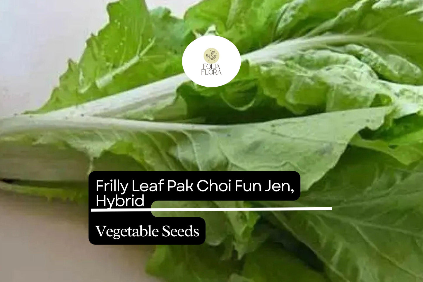 500mg Frilly Leaf Pak Choi Fun Jen Seeds Hybrid Brassica rapa | Unique, Non-GMO, Crisp & Tender Asian Greens, Easy to Grow Vegetable