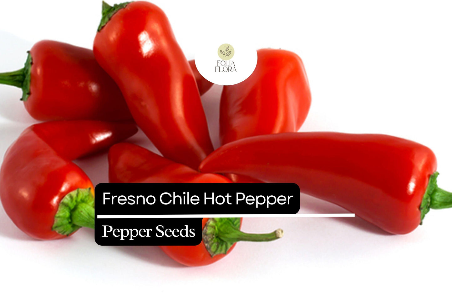 25 Fresno Pepper Seeds – Heirloom, Spicy & Flavorful, Non-GMO, High Yield, Easy to Grow