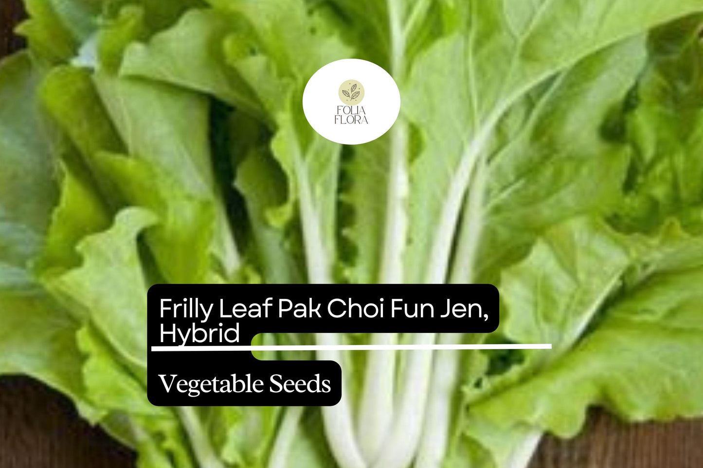 500mg Frilly Leaf Pak Choi Fun Jen Seeds Hybrid Brassica rapa | Unique, Non-GMO, Crisp & Tender Asian Greens, Easy to Grow Vegetable
