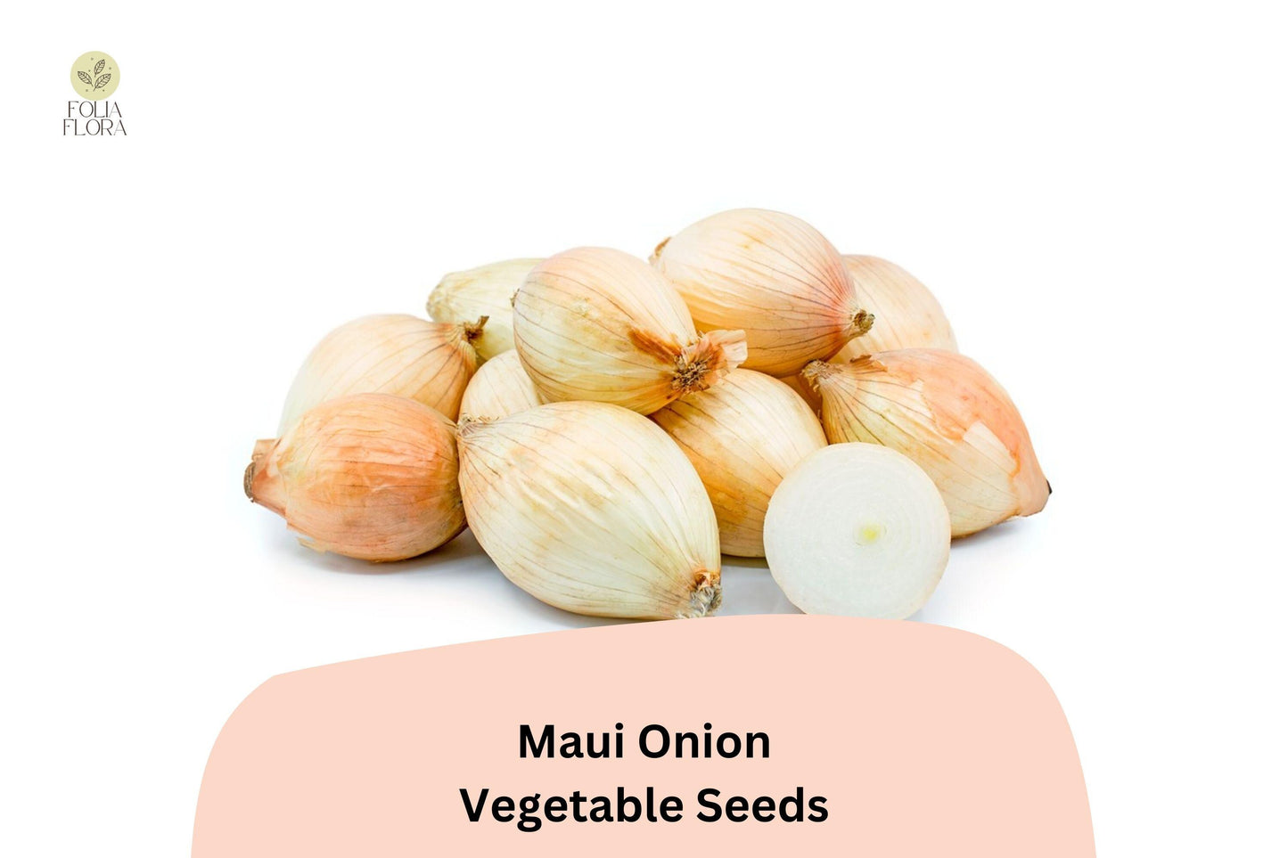 500+ Maui Onion Seeds | Sweet Onion Variety | Garden Planting | Mild Flavor | Great for Salads, Grilling & Cooking