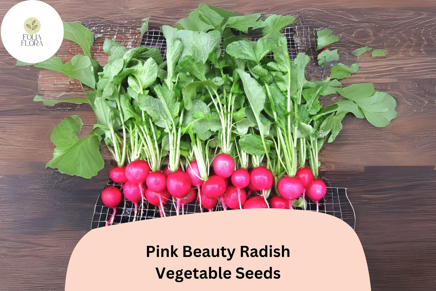 500+ Pink Beauty Radish Seeds – Heirloom Round Pink Radish Seeds for Garden Planting