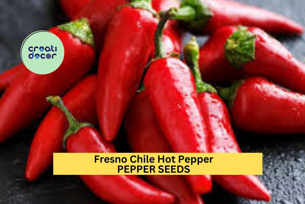 3pcs of 250mg Fresno Chile Hot Pepper Seeds – Spicy Red Chili for Salsa, Pickling, Roasting, and Home Garden Planting Seeds for Planting