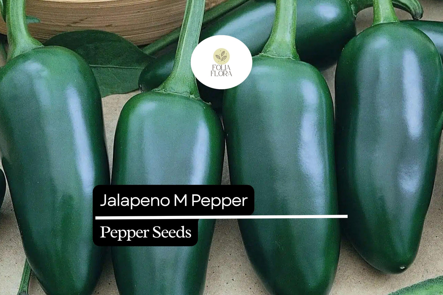 25 Jalapeño M Pepper Seeds – Capsicum annuum – Heirloom, Spicy & Flavorful, High-Yielding