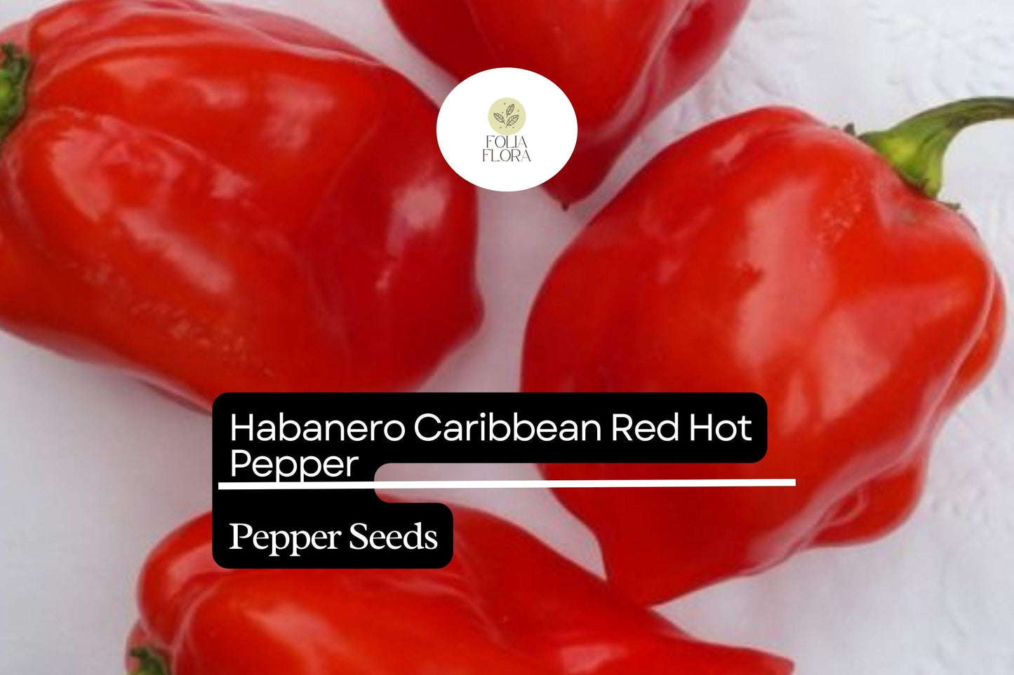 25 Caribbean Red Habanero Pepper Seeds – Capsicum chinense – Extra Hot & Fruity, High-Yielding