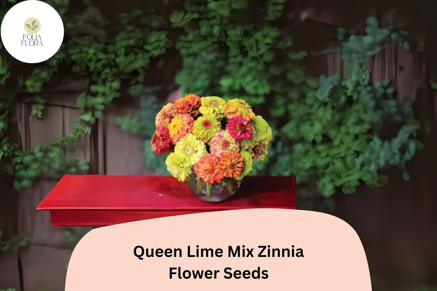 100+ Queen Lime Mix Zinnia Seeds – Unique Red, Peach & Green Blooms for Garden Beds and Cut Flowers