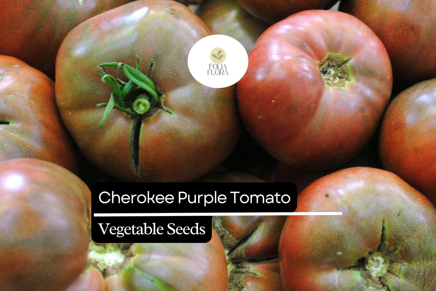 30 Seeds Cherokee Purple Tomato (Solanum lycopersicum) - Heirloom Tomato with Rich Flavor, Perfect for Slicing and Salads