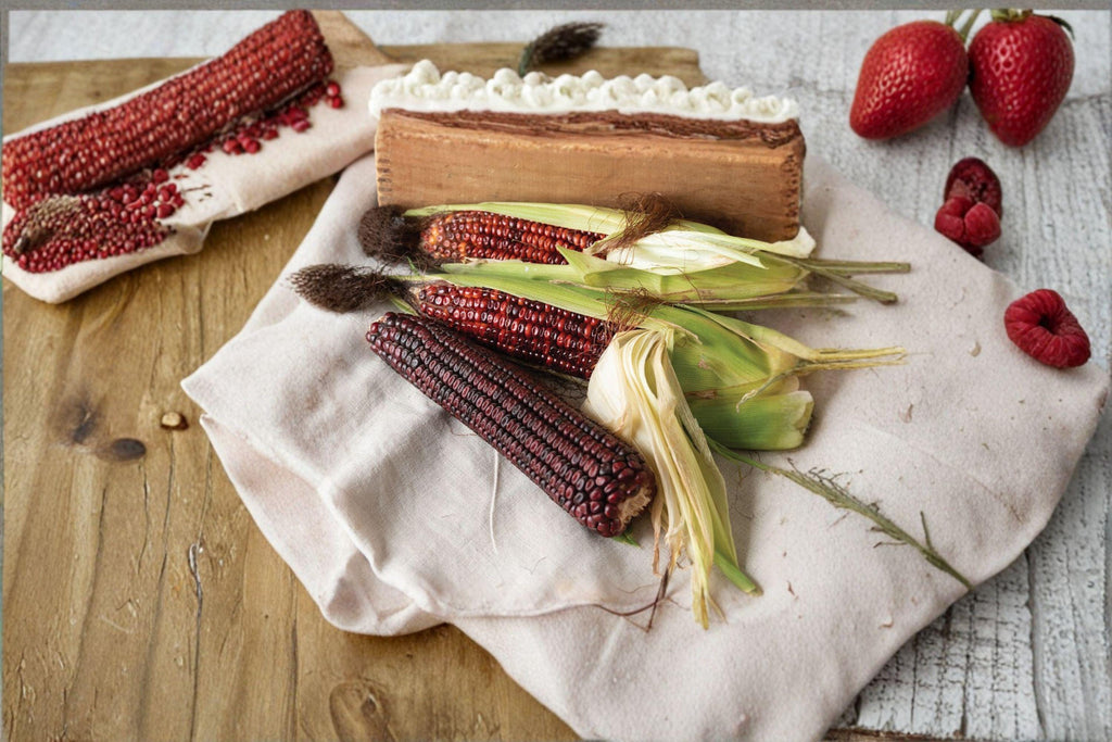 Corn – Bloody Butcher (110 Days) 25 Seeds | Historic Heirloom | Deep Red Dent Corn | Excellent for Grinding & Baking