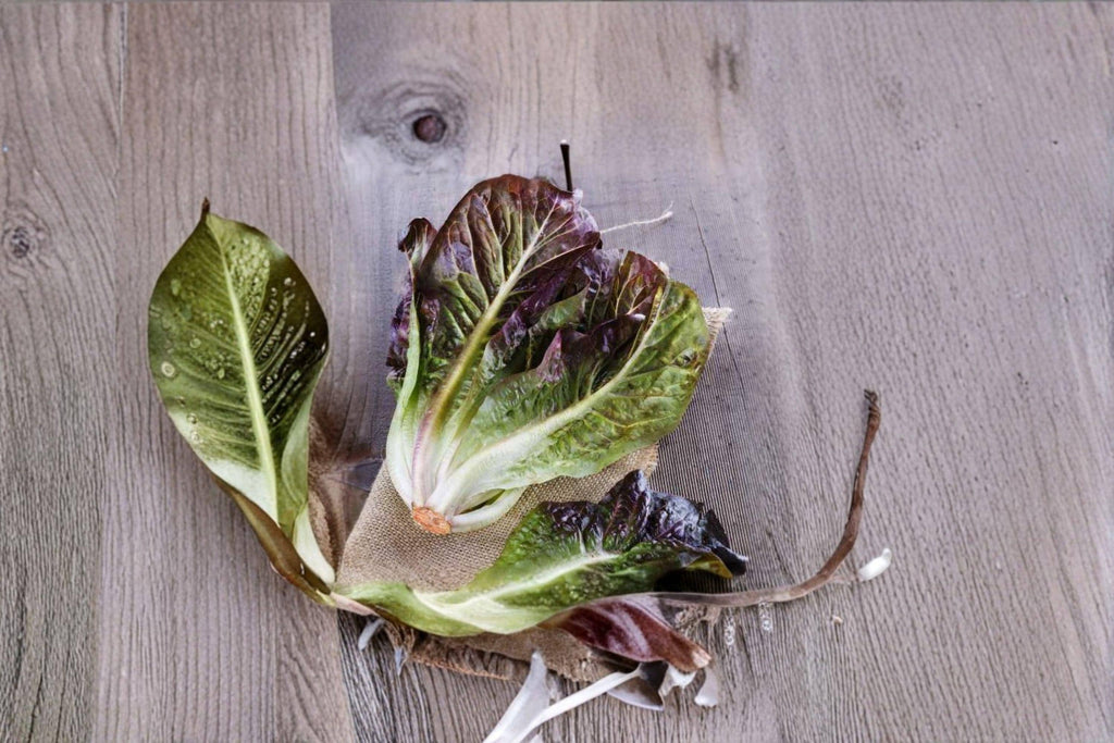 Rouge De Hiver – Red Romaine Lettuce 700 Seeds | French Heirloom | Cold-Hardy Lettuce | Sweet, Nutty Flavor