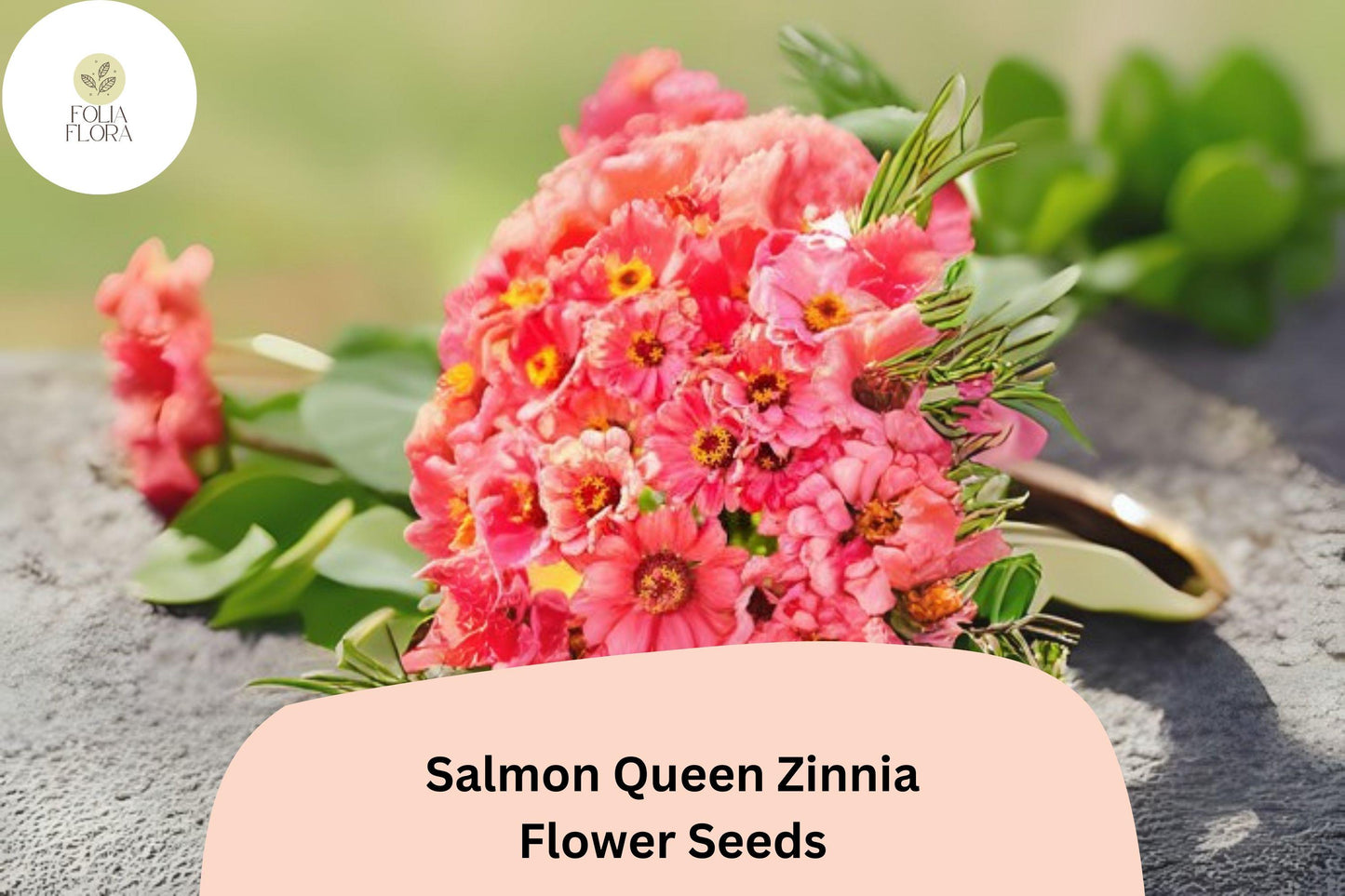 100+ Salmon Queen Zinnia Seeds | Soft Pink-Orange Blooms | Easy Annual Garden Planting | Pollinator Friendly Cut Flowers