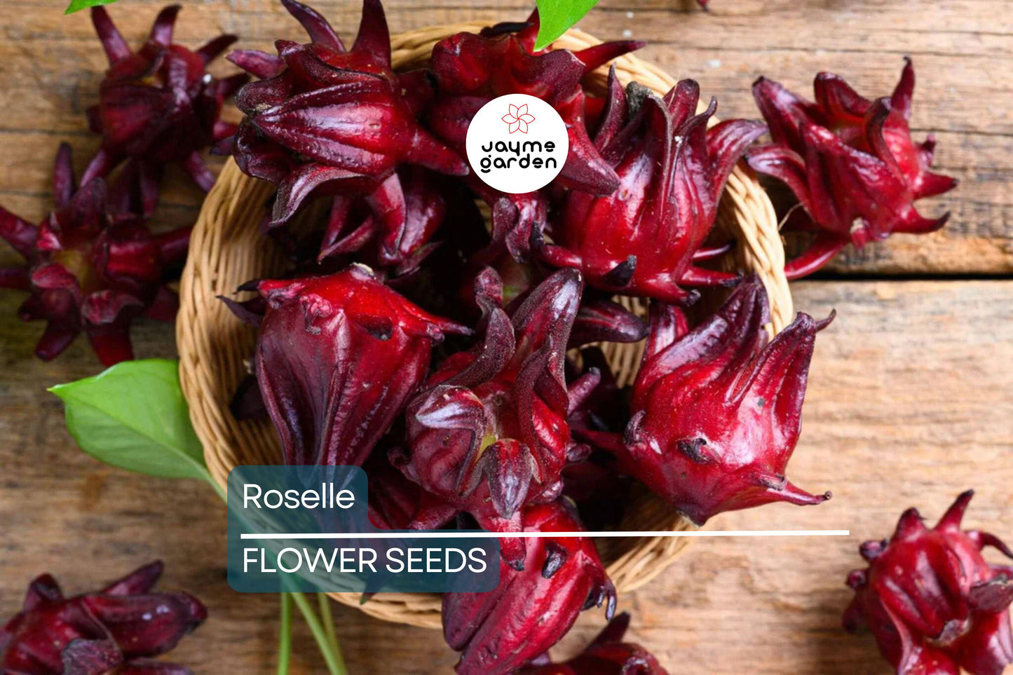 50 Roselle Seeds | Hibiscus sabdariffa | Asian Sour Leaf | Heirloom, Edible & Medicinal