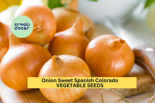 3pcs of 250mg Onion Sweet Spanish Colorado Seeds – Mild, Large Yellow Onion Seeds for Planting – Great for Salads & Cooking