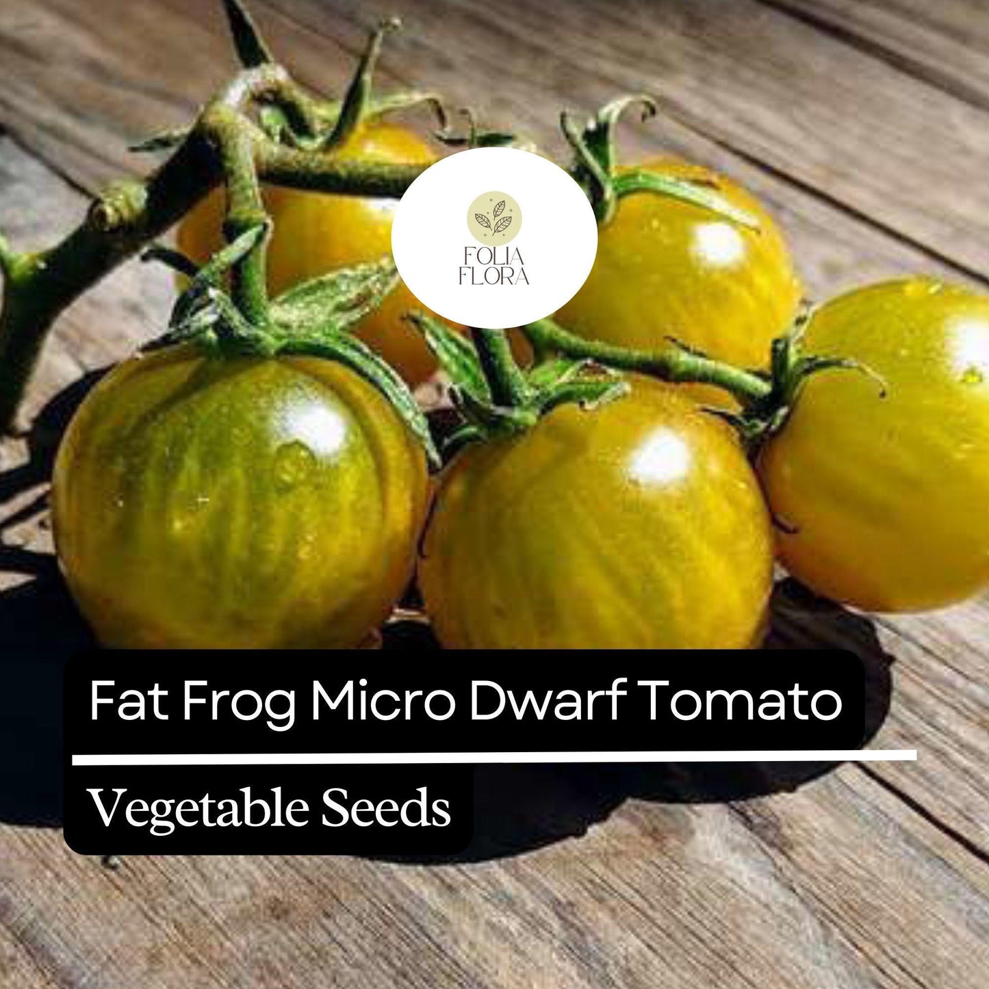 15 Fat Frog Micro Dwarf Tomato Seeds – Heirloom, Non-GMO, Compact & High-Yield