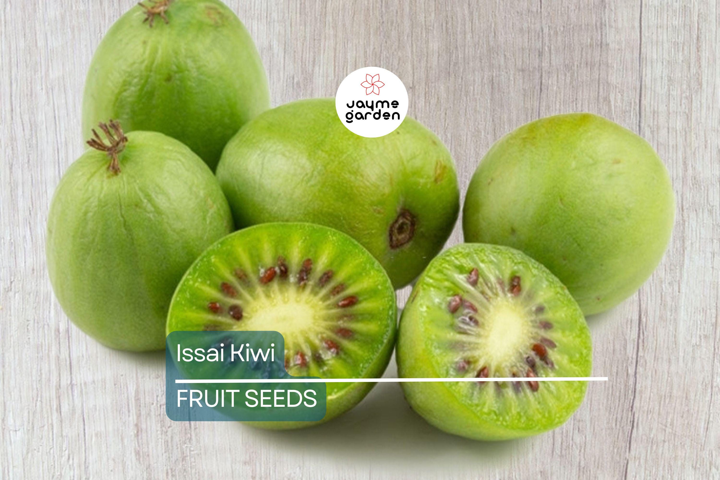 50 Issai Kiwi Seeds (Actinidia arguta) – Cold Hardy Arctic Grape Kiwi, Fast-Growing Superfruit Vine